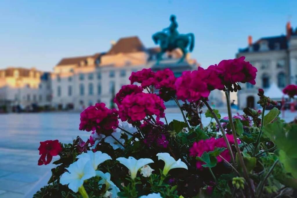 Bnb Le Cocon, Coeur Historique D'Orleans, 5' Train Station エクステリア 写真